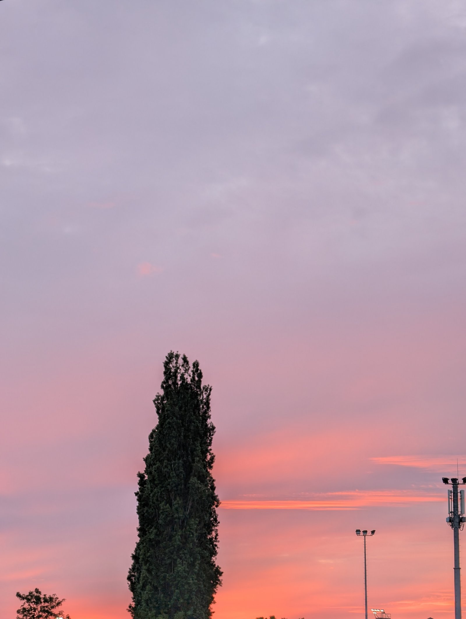 Paysage