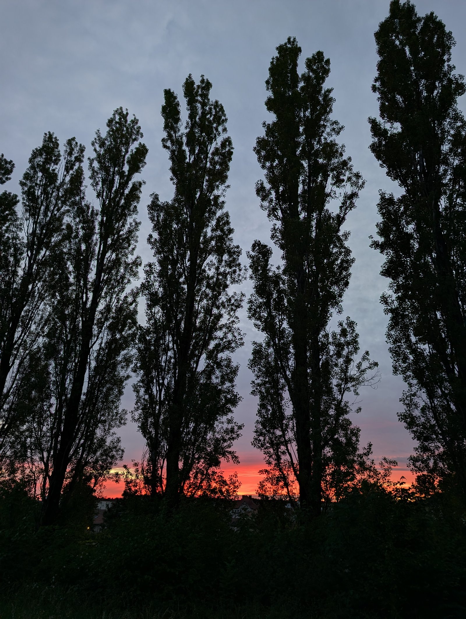 Paysage